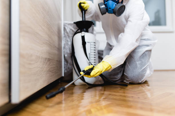 Best Local Pest Control Services  in Mcqueeney, TX