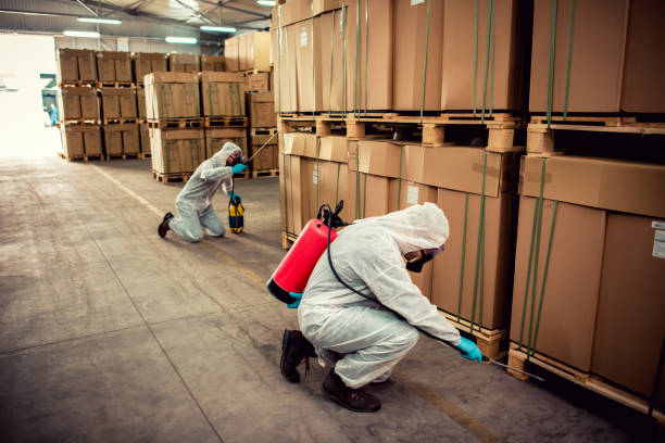 Best Pest Control Near Me  in Mcqueeney, TX