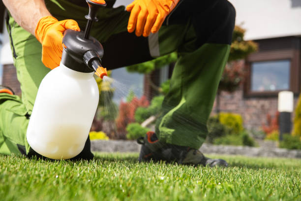Best Wildlife Control Services  in Mcqueeney, TX