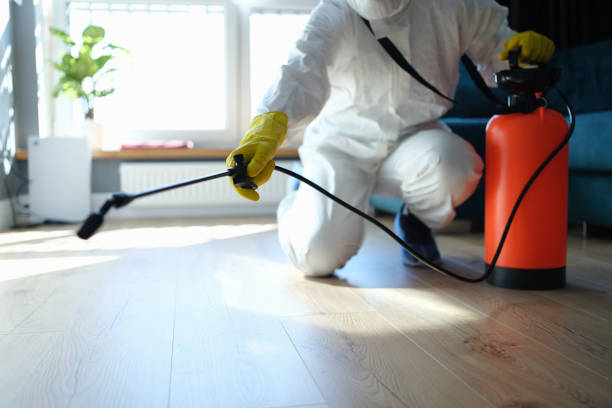Best Affordable Pest Control Services  in Mcqueeney, TX