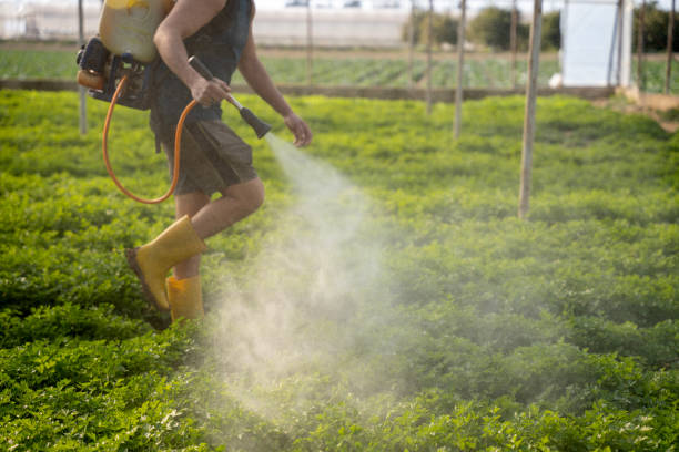 Professional Pest Control in Mcqueeney, TX