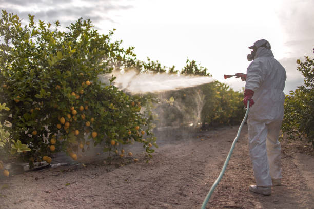 Best Exterminator Services  in Mcqueeney, TX