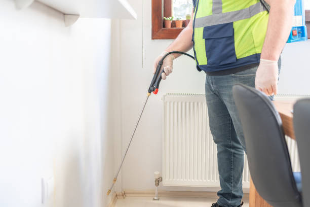 Professional Pest Control in Mcqueeney, TX