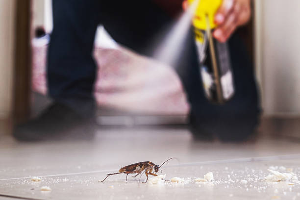Best Flea Control Services  in Mcqueeney, TX