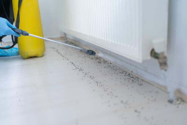 Best Residential Pest Control  in Mcqueeney, TX