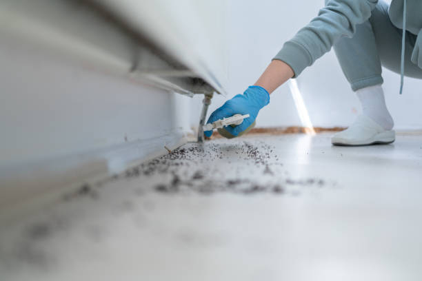 Best Best Pest Control Near Me  in Mcqueeney, TX