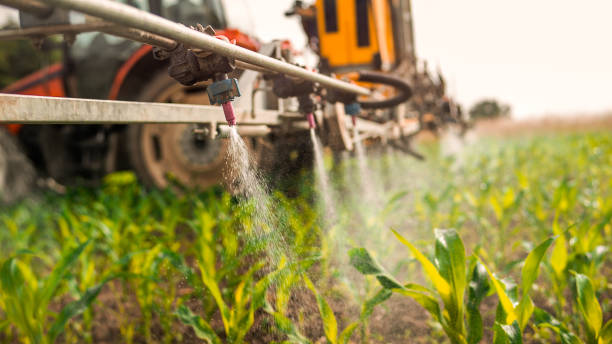 Best Commercial Pest Control Services  in Mcqueeney, TX