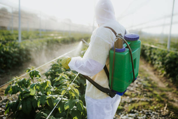Best Wasp Removal Services  in Mcqueeney, TX